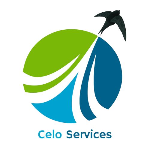 Logo CELO SERVICE